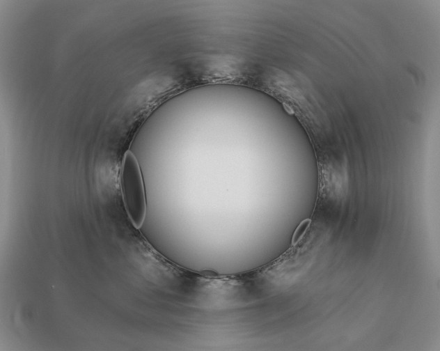 X0000112980621200909101715