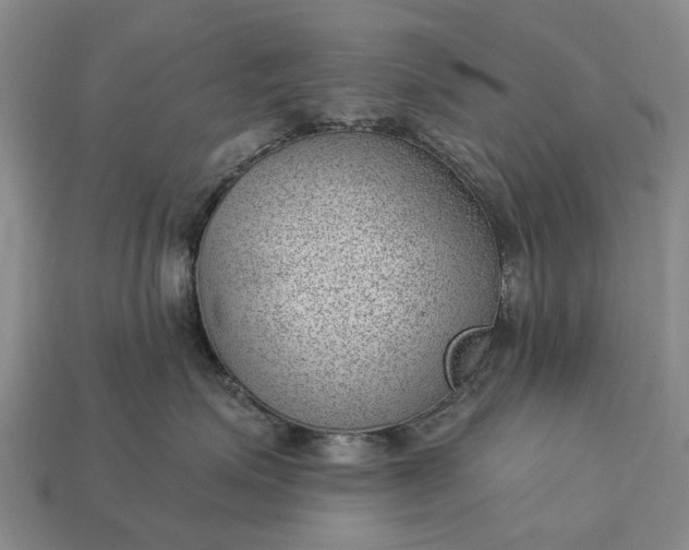 X0000112980623200909101715