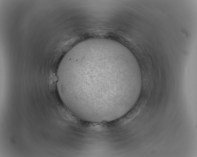 X0000112980624200909101715