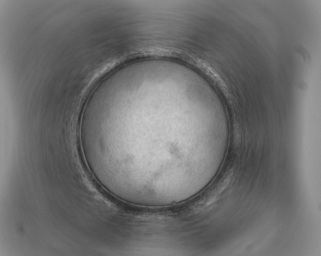 X0000112980625200909101715