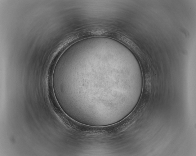 X0000112980626200909101715