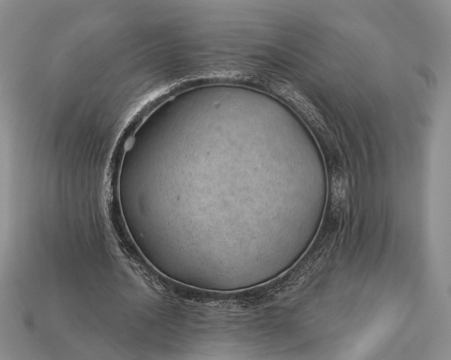 X0000112980628200909101715