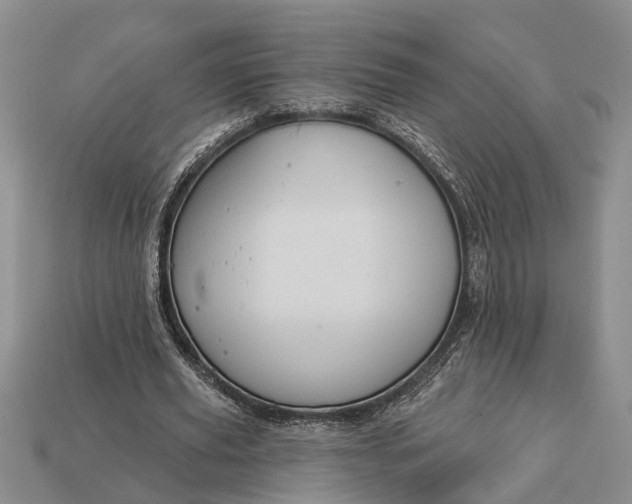 X0000112980629200909101715