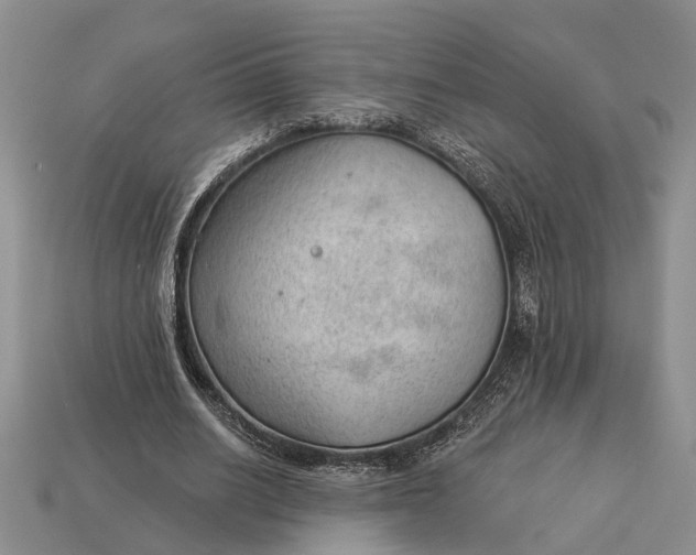 X0000112980630200909101715