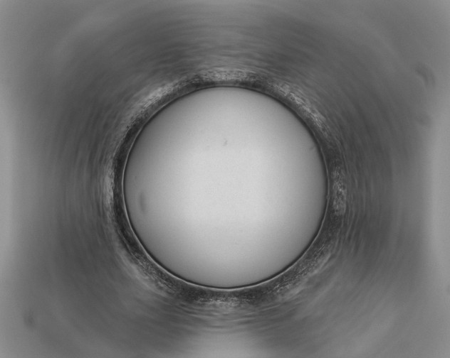 X0000112980631200909101715