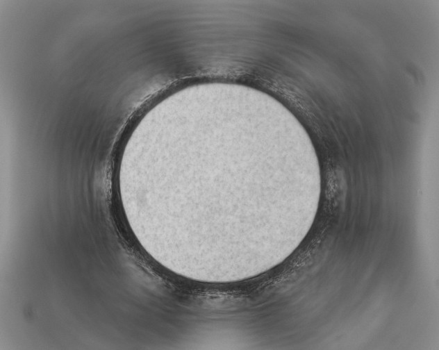 X0000112980632200909101715