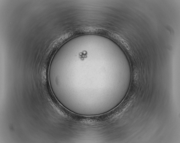 X0000112980633200909101715