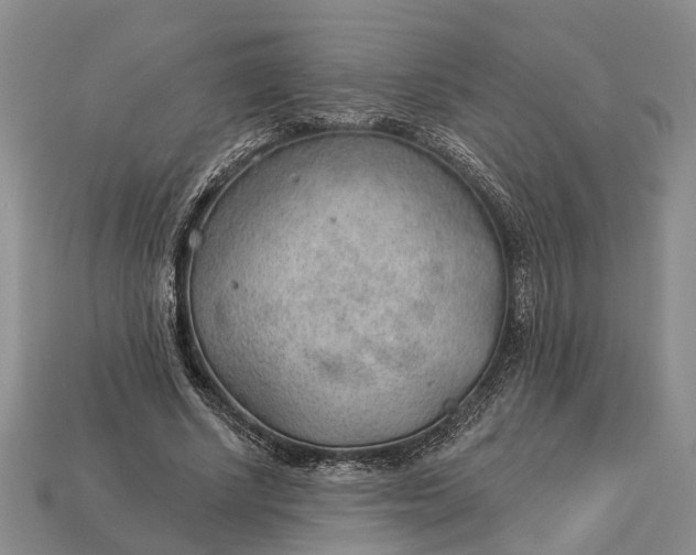 X0000112980634200909101715