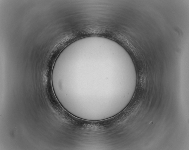 X0000112980635200909101715