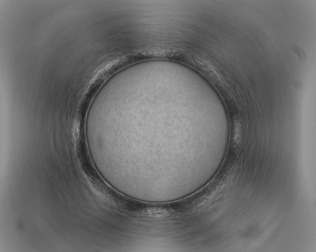 X0000112980636200909101715