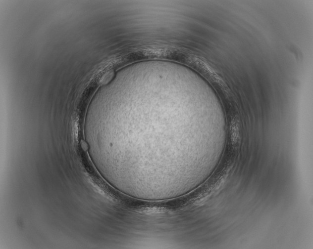 X0000112980637200909101715