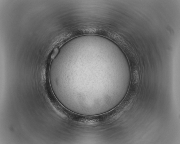 X0000112980638200909101715