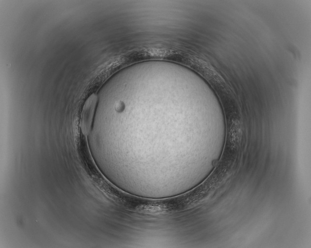 X0000112980639200909101715