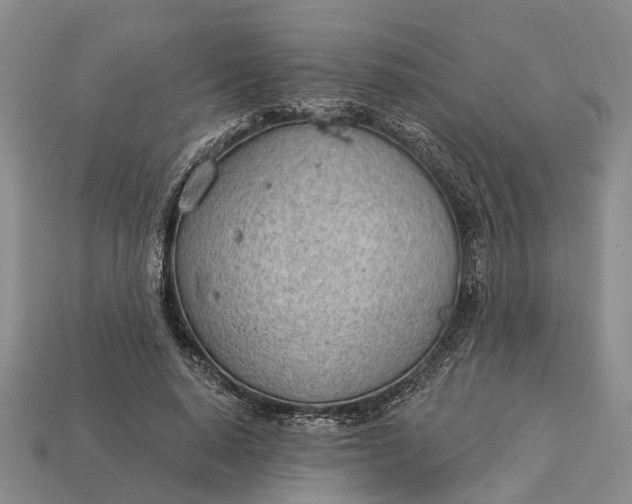 X0000112980640200909101715