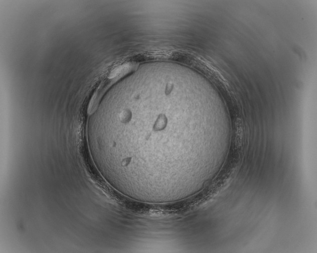 X0000112980641200909101715