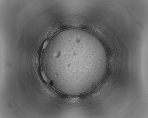 X0000112980642200909101715