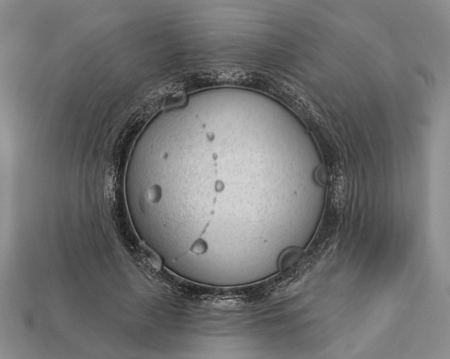 X0000112980643200909101715