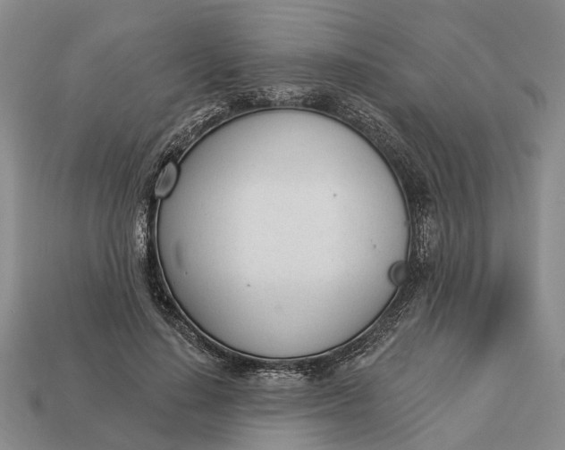 X0000112980644200909101715