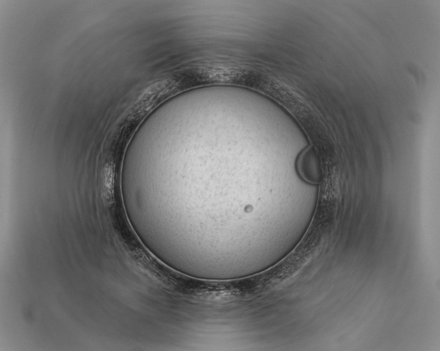 X0000112980646200909101715