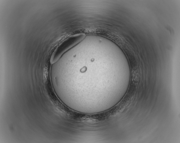 X0000112980648200909101715