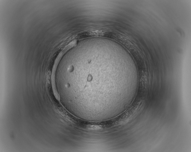 X0000112980649200909101715