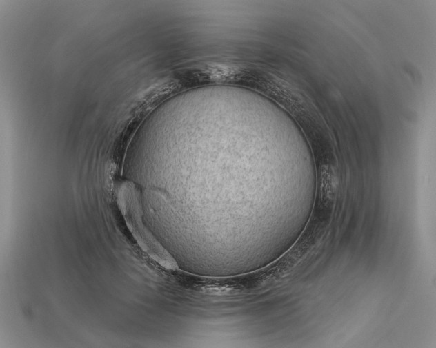 X0000112980650200909101715