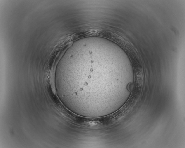 X0000112980654200909101715