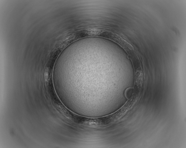 X0000112980655200909101715