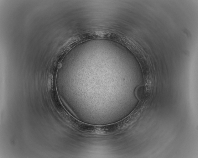 X0000112980656200909101715