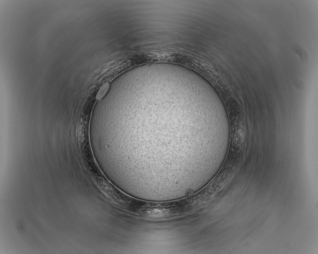 X0000112980658200909101715