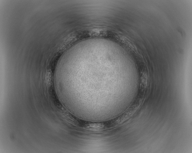 X0000112980659200909101715