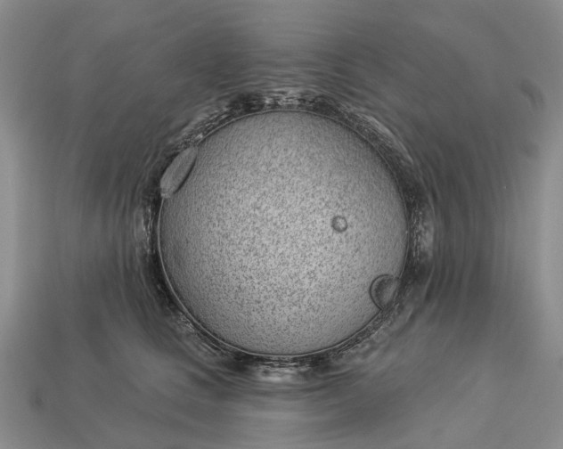 X0000112980661200909101715