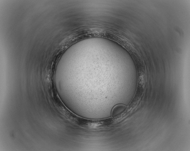 X0000112980662200909101715