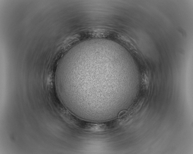 X0000112980663200909101715