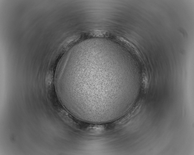 X0000112980665200909101715