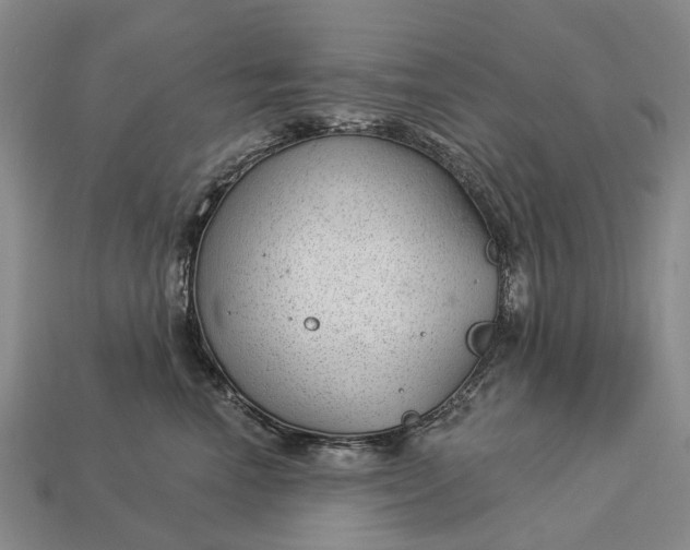 X0000112980666200909101715