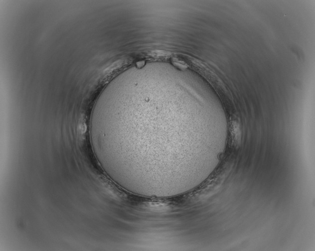 X0000112980668200909101715