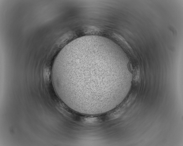 X0000112980669200909101715