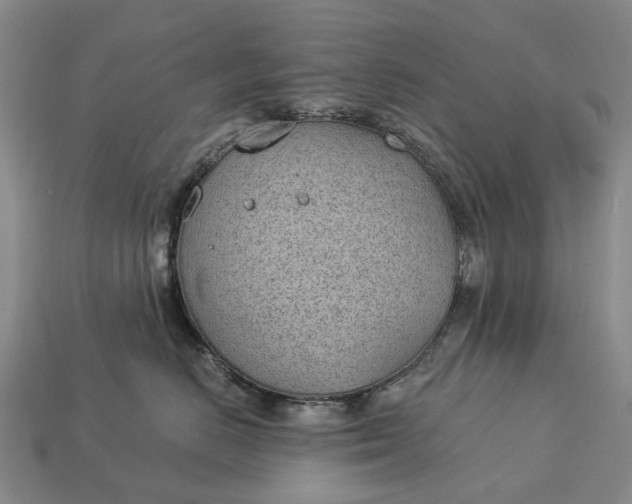 X0000112980670200909101715