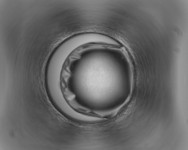 X0000112980673200909101715