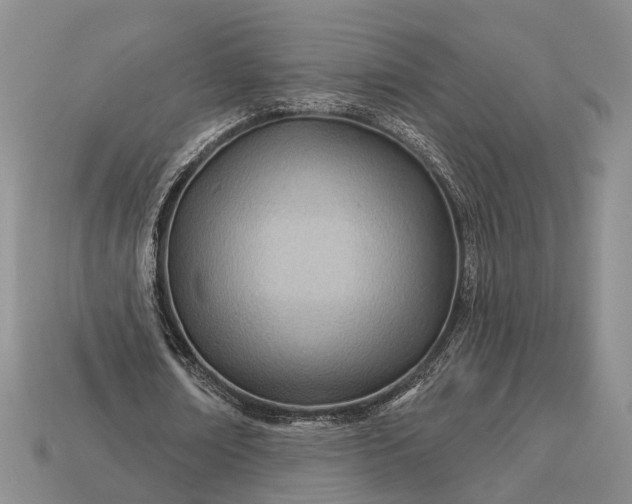 X0000112980674200909101715