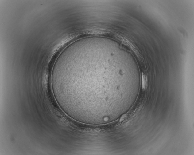 X0000112980675200909101715