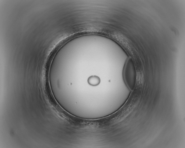 X0000112980676200909101715