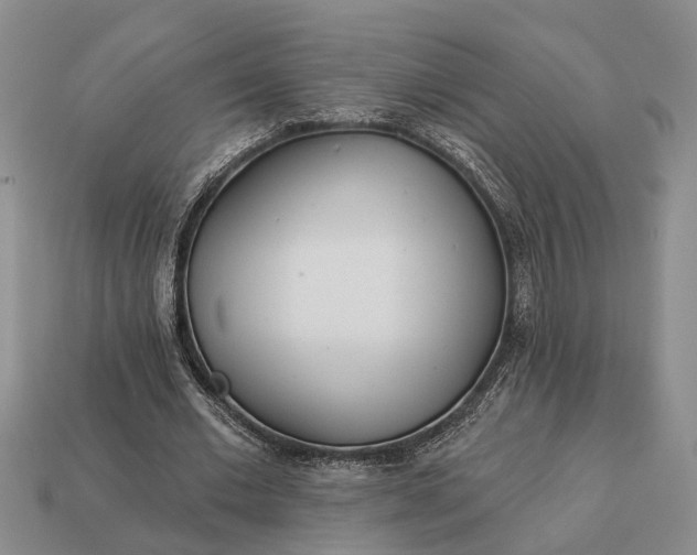 X0000112980677200909101715