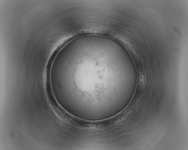 X0000112980678200909101715