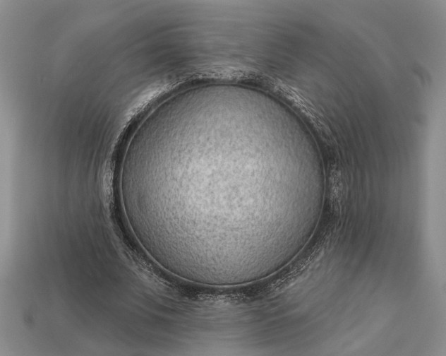 X0000112980679200909101715