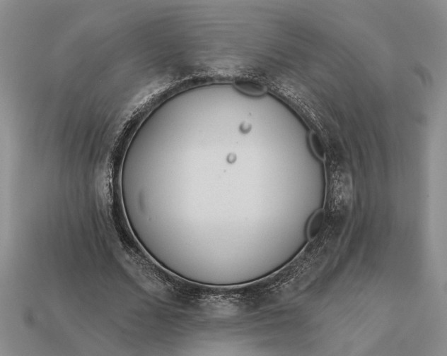 X0000112980680200909101715