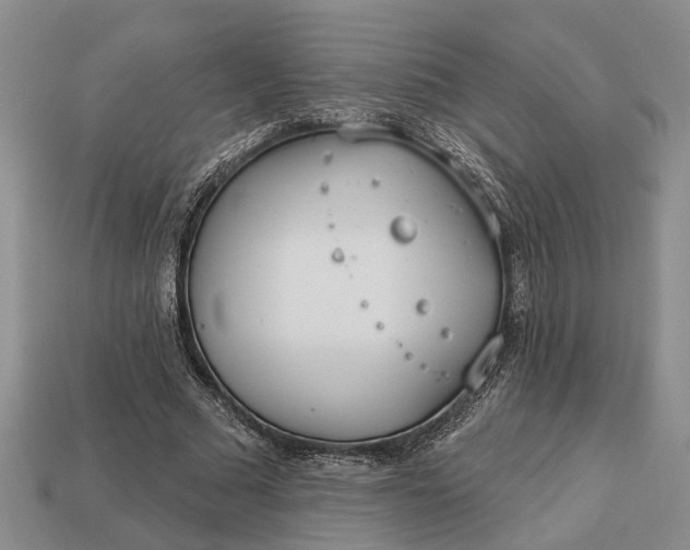 X0000112980681200909101714