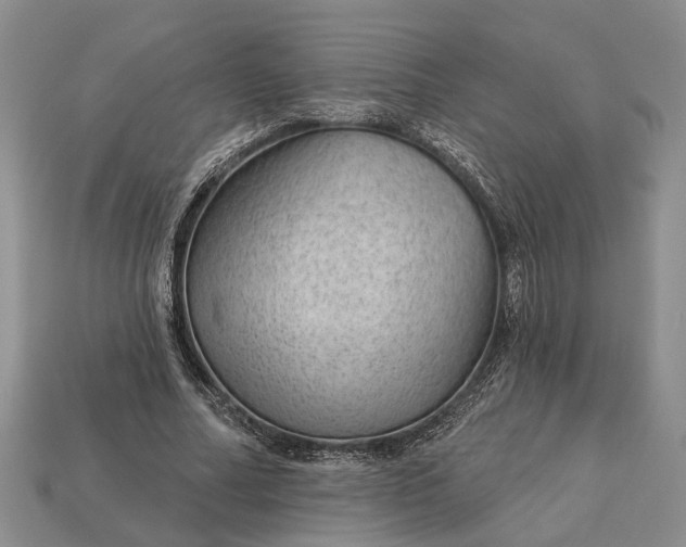 X0000112980682200909101714