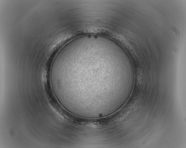 X0000112980683200909101714